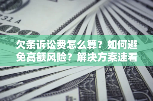北京欠条诉讼费怎么算？如何避免高额风险？解决方案速看！