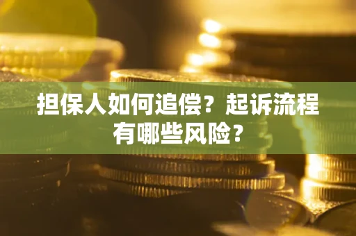 北京担保人如何追偿？起诉流程有哪些风险？